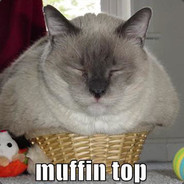 Mr cat