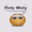 holy moly