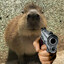 Friendly Innocent Wob