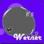 WERNER-THE-WHALE