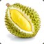 DURIAN