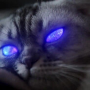 Топский Павел