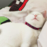 Yuki