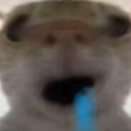 凸  ʕ ᵔᴥᵔ ʔ  凸