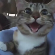 . - steam id 76561199175392661