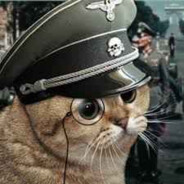 day bog 0.3 kd - steam id 76561199076177293