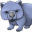 Blue Wombat