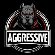 AgressivE avatar