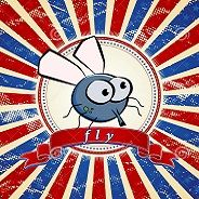 Fly
