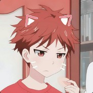 小逼猫