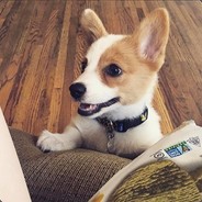 妖腻来根士力架呗