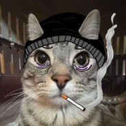 catpng