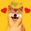 Dogeus