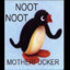 NOOT NOOT