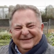 CRAZY ROBERTO ALPACINO