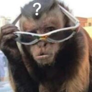 嘛豆传媒金牌动作技术指导