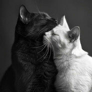 𝑆𝑜𝑓𝑖𝑎 ღ