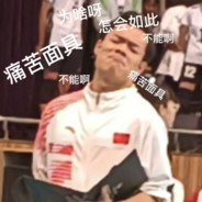 帕拉迪岛的Wall·Sina