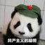 芝麻汤圆