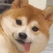poyo avatar