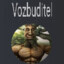 Vozbuditel