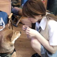 没关系都是深井冰啊