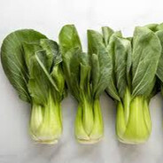 BokChoy