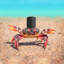 Crab with a Hat