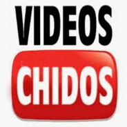 VIDEOS CHIDOS