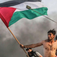 麦田里的守望者