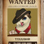 Texas Bob