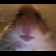 ☆ ℍ𝕒𝕄𝕤𝕋𝕖ℝ