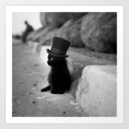 Wrongly Accused Cat avatar