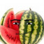 MelonMan