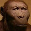 U call me a monkey ?