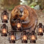 Beaver Lanterns
