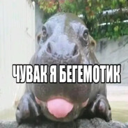 伙计，我是河马。