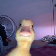 805_abb - steam id 76561199139155190