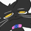 GATO N.