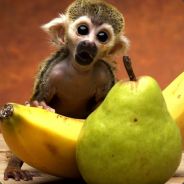 LilAb - steam id 76561197965845692