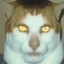 SKIBIDI BOOBTITSKI