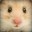 Lil Hammy