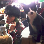 本可尊嘟素直男惹