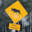 Night Danger