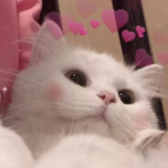 观潮起潮落，赏人间烟火