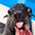 Yamil BabySeal
