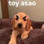 Toy Asao