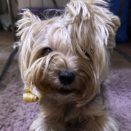 Здарова Заебал