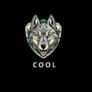 COOL - steam id 76561199647218496