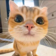 伊戈达拉·科苗尼